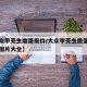 【大众甲壳虫敞篷报价/大众甲壳虫敞篷车报价及图片大全】